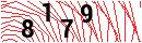 Security Verification