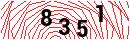 Security Verification