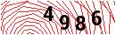 Security Verification