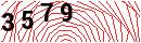 Security Verification