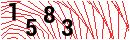 Security Verification