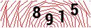 Security Verification
