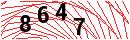 Security Verification
