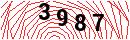 Security Verification
