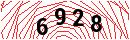 Security Verification