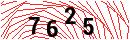 Security Verification