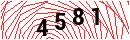 Security Verification