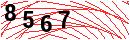 Security Verification