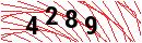 Security Verification