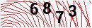 Security Verification