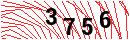 Security Verification
