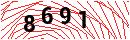 Security Verification