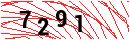 Security Verification