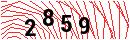 Security Verification