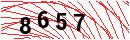 Security Verification
