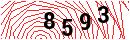 Security Verification