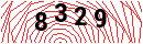 Security Verification