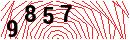 Security Verification