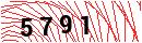 Security Verification