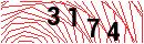 Security Verification