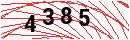 Security Verification