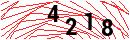 Security Verification