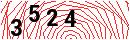 Security Verification