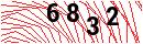 Security Verification