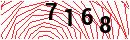 Security Verification