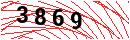 Security Verification