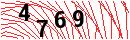 Security Verification