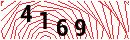 Security Verification