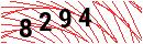 Security Verification