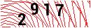 Security Verification