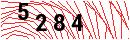 Security Verification