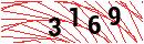 Security Verification