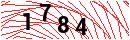 Security Verification