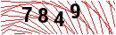 Security Verification
