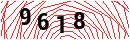 Security Verification