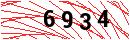 Security Verification