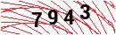 Security Verification