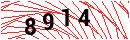 Security Verification