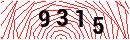 Security Verification