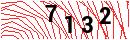 Security Verification
