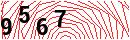 Security Verification