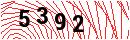 Security Verification