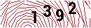 Security Verification