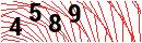 Security Verification