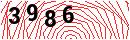 Security Verification