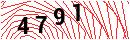 Security Verification